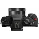 Panasonic Mirrorless Φωτογραφική Μηχανή Lumix DC-G100 Micro Four Thirds με φακό G Vario 12-32mm F3.5-5.6 Asph. Mega OIS