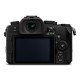 Panasonic Mirrorless Lumix DC-G90 Crop Frame