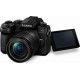 Panasonic Mirrorless Lumix DC-G90 Crop Frame  (12-60 5,6 asph KIT)