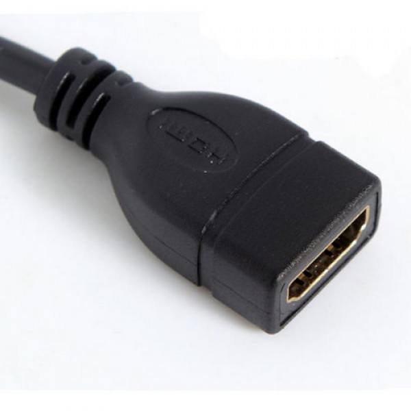 DSLR Female HDMI to Mini HDMI Cable (55cm)